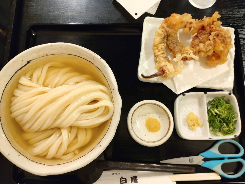 白庵のゲソ天ひやかけうどん大