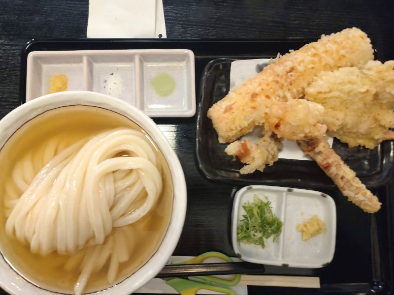 白庵の天ぷら盛り合わせひやかけうどん大