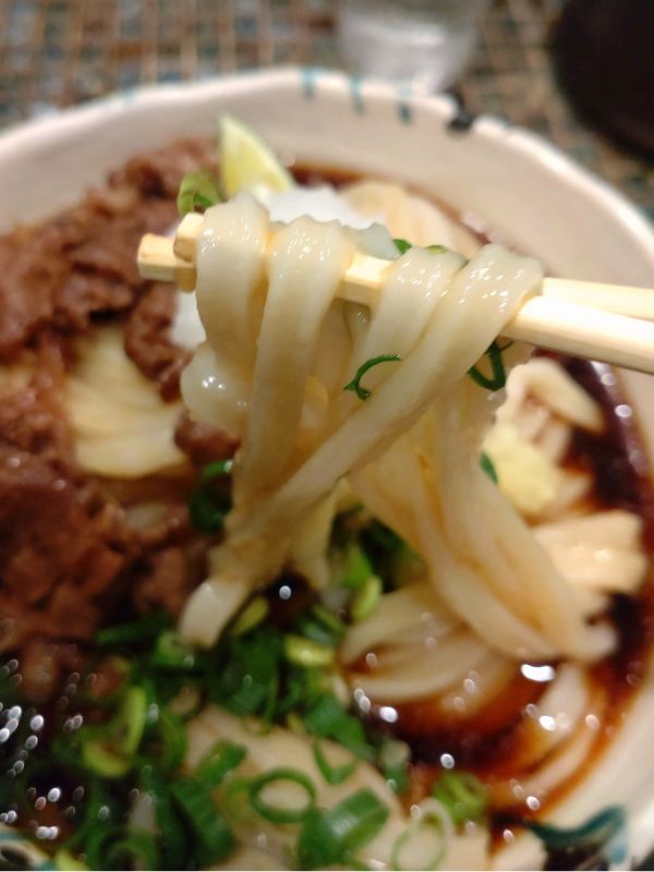 たけうちうどんの肉おろしぶっかけ