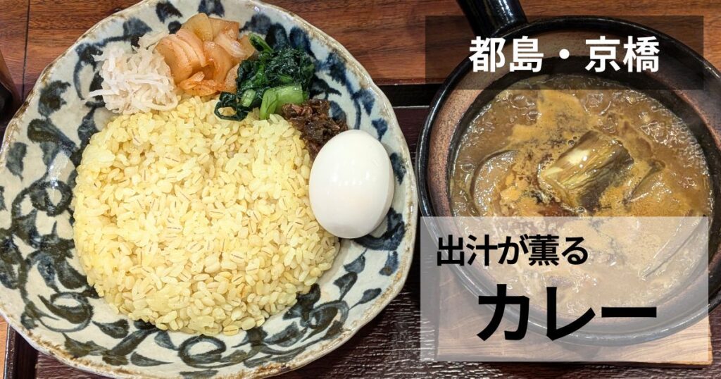 エレクトロニカレーのサムネイル