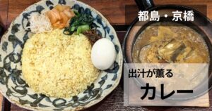 エレクトロニカレーのサムネイル
